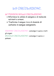 LA CIRCOLAZIONE