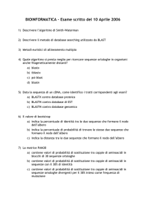 scritto2006_1