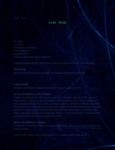 Sorkipedia - Leda