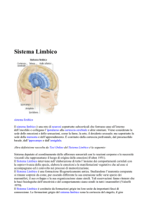 Sistema Limbico