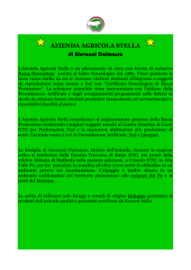 chi siamo - Azienda Agricola Stella di Giovanni Dalmasso