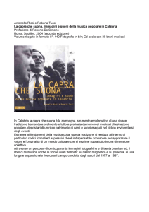vedi copertina