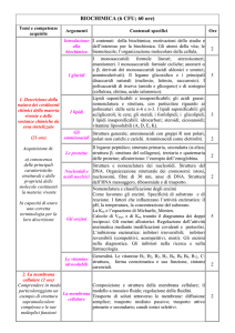 Lezioni ed esercitazioni