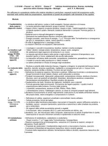 unità - Istituto Gritti