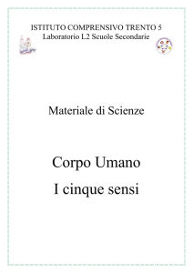 I cinque sensi - Istituto Trento 5