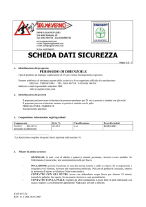 scheda sicurezza