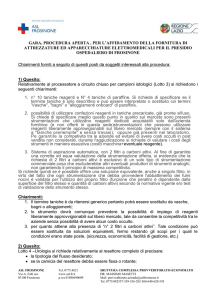 L-chiarimenti 1