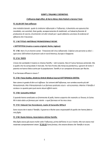 Lo script della video-inchiesta