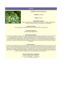 uncaria - Farmacia S. Antonio – Brescia