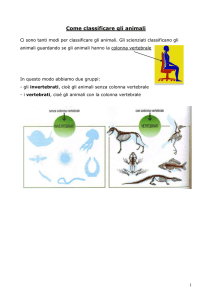 GLI INVERTEBRATI