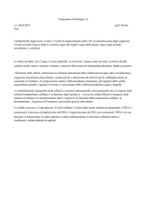 Programmi Prof.ssa Neribiologia II A 2014-2015