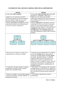 mitosi e meiosi