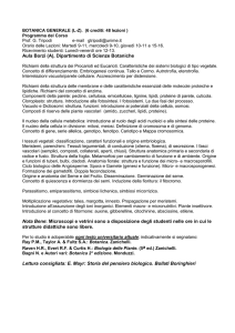 Programma