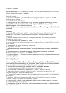 Programma Pato II