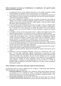 Allegato - Comune di Palmi