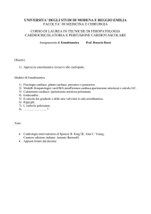 Programma Emodinamica - Università di Modena e Reggio Emilia