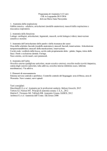 Anatomia I - Logopedia
