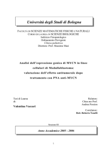Tesi
