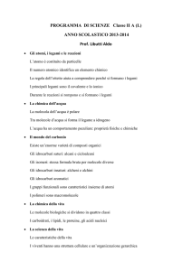 PROGRAMMA SCIENZE II A (L)