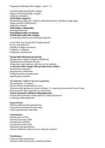 Programma di Biologia dello sviluppo - corso L