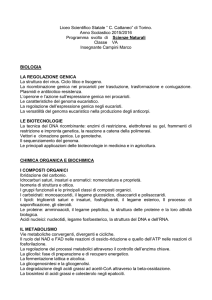 Prog. 5A 2015-16 scienze