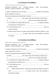 Fotosintesi Clorofilliana: Completa il Brano