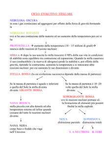 ciclo vitale - Atuttascuola