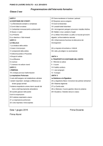 PIANO DI LAVORO SVOLTO – A.S. 2014/2015 Programmazione