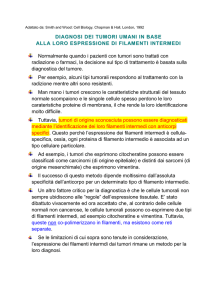 tipizzazione dei tumori