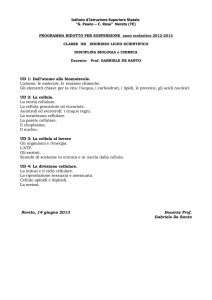 Scienze - G. Peano