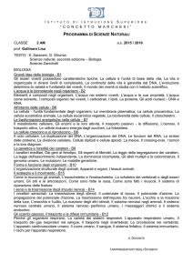 Istituto di Istruzione Superiore