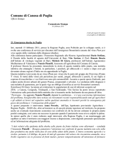 16 febbraio 2011 Conferenza di servizi allarme sharka