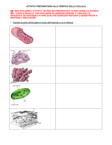 attivita` preparatoria alla verifica sulla cellula