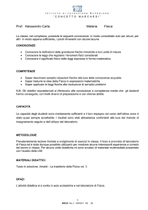 5dc-allegato-docente-fisica