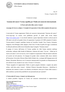 Università degli Studi di Verona