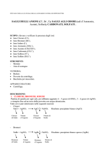 SAGGI DEGLI ANIONI