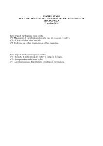 Prove scritte sezione A 2° sessione 2014