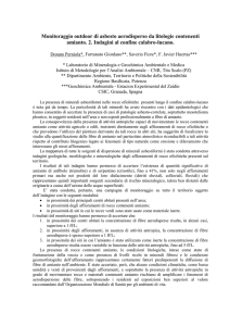 Presenza naturale di amianto nelle rocce: caratterizzazione e