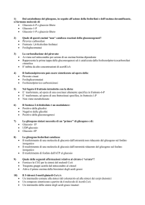 1) - Omero