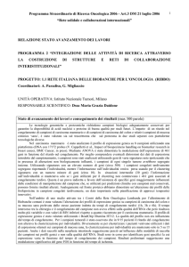 TITOLO DEL PROGETTO: