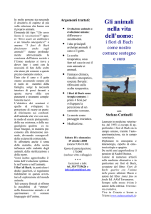 approfondimento - Gli Amici di Sari
