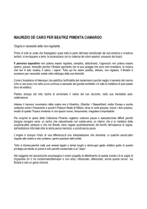 testo De Caro