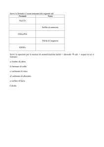 esercizi_CH_FIS_vacanze