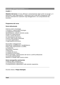Sociologia dell`Organizzazione (V