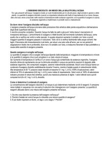 Husak_seconde_Soluzioni_due esempi
