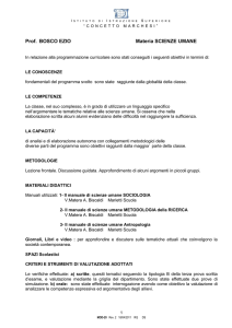 istituto di istruzione superiore