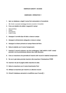 Apri un database e dagli il nome fiori salvandolo in Modulo 5