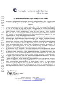 Una pellicola elettrizzante per manipolare le cellule Ricercatori Cnr