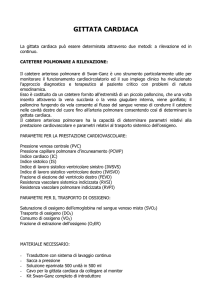 gittata cardiaca - Area