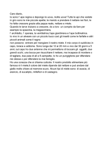 Caro diario